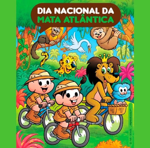 27 de Maio - Dia Nacional da Mata Atlântica
